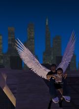 Guest_SLIM55