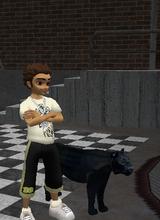 Guest_HengDi