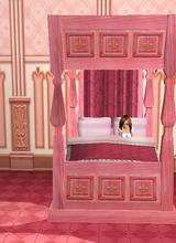 Guest_carly12234