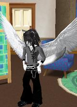 avatar image