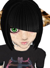 Guest_StephiAm
