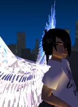 Guest_M1234569