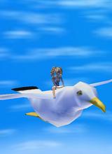 Guest_maximepp15
