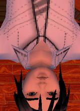 Guest_gounter