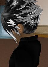 Guest_Troy398