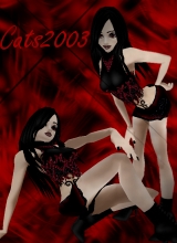 Cats2003