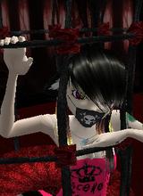 Guest_Caruki