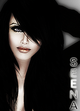 Guest_Seena77