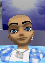 Stewjon