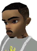 Guest_YSWITCHAZ