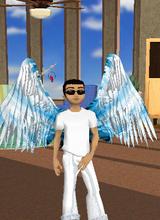 dinjin31