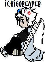 Guest_IchigoReaper