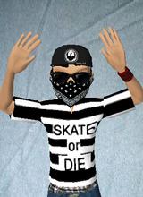 Guest_Meatelsk8er
