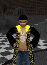 Guest_andrew6392