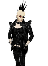 insanist