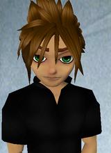 Guest_Zamo8