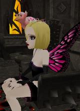 Guest_roxie7877