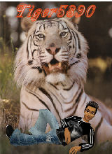 Tiger5890