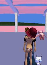 Guest_sango53095