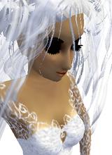 Guest_Preshy