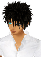 avatar picture