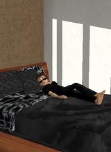 avatar picture