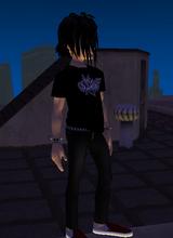 Guest_XxGuitarist4everXx