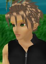 Guest_seb0487