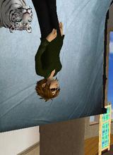 Guest_dtel1