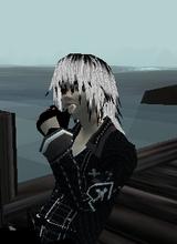 Guest_cereberous