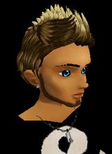 avatar picture