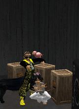 Guest_LADYMAN28
