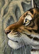 avatar picture