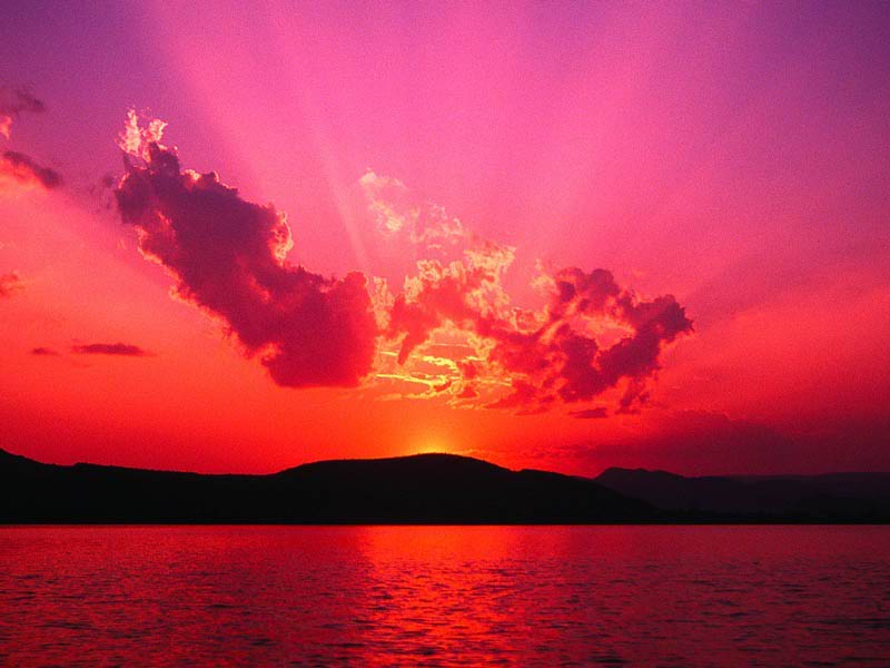 Guest_lovegril1