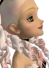 Guest_4Cson