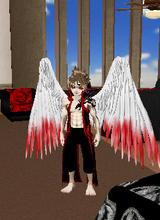 Guest_Fino90