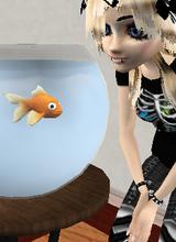 Guest_Penni175