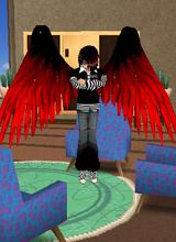 Guest_dawson4300