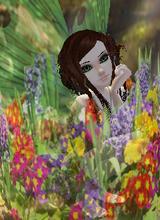 BrierRose2484
