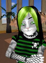 Guest_Kitycatfish