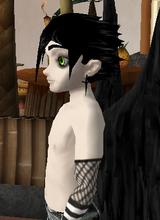 Guest_darc911