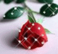 Guest_TinaKiss