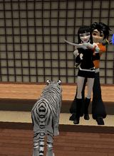 Guest_KingUzamaki