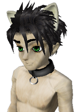 Guest_jere14