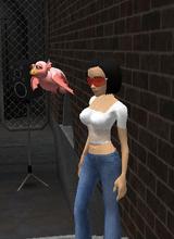Guest_Amaryllis13