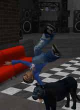 avatar image