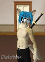 Guest_Deloton