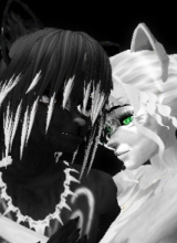 nightlylaura
