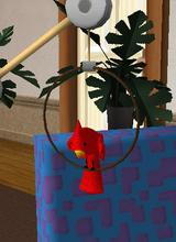 Guest_Vicky0202
