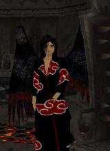 Guest_ArcNumb